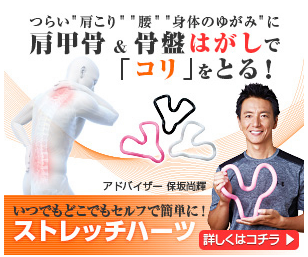 ストレッチハーツ ヨドバシ